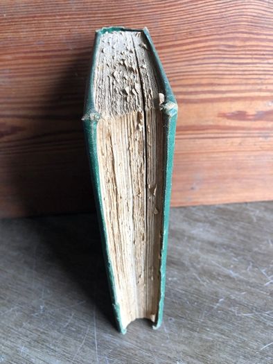 Antique Book Woman's Work in Modern Society by M.F. Cusack