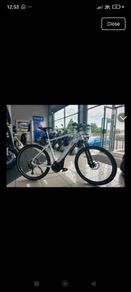 Electric bike