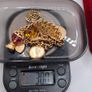 vintage 9 ct charm bracelet Image 4