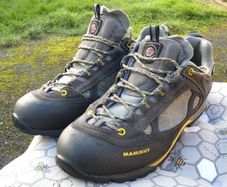 Mammut Ridge Low GTX Hiking Shoes