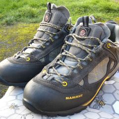 Mammut Ridge Low GTX Hiking Shoes