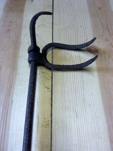 Old log grab