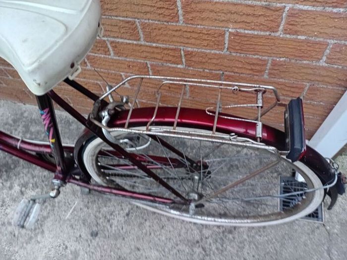 adults bike
