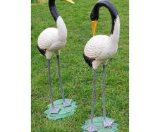 Crane Pairs Black & White H93