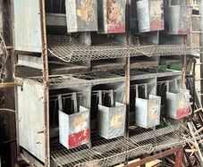 poultry cages