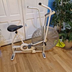Schwinn Airdyne