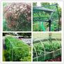 4x10m Green Garden Netting, Bird Netting Pond Plant Netting for Protecting Fruit Tree Vegetable Patch Flowers Crops Strawberry Pea and Bean, 15x15mm Holes Fine Mesh Image 3