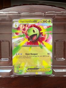 Pokemon XL Cards