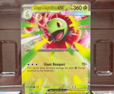 Pokemon XL Cards