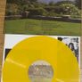 The Water boys Fishermans Blues coloured vinyl Image 2