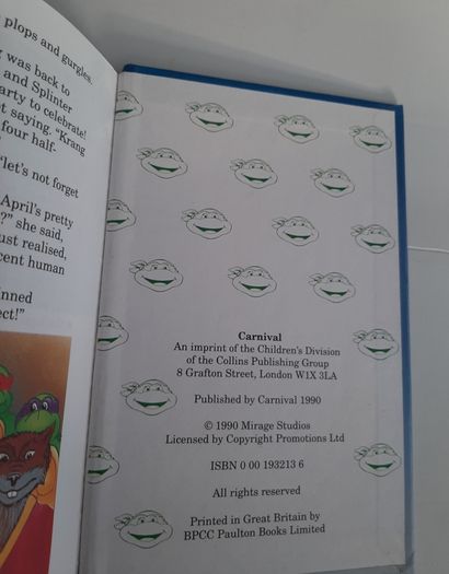 Vintage teenage ninga turtles 1990  book
