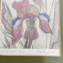 FRAMED DETAIL IRIS RAINBOW FANTASY penceled and coloered signed by artist . Image 9