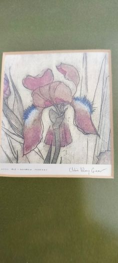 FRAMED DETAIL IRIS RAINBOW FANTASY penceled and coloered signed by artist .
