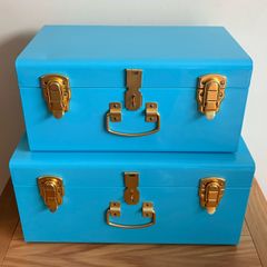 Storage Trunks