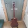 electro Acoustic bass Image 2