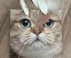 Cat Face Small Gift Bag