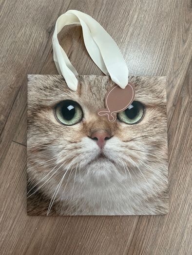 Cat Face Small Gift Bag