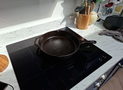 Cast iron pan (pre-Seasoned)