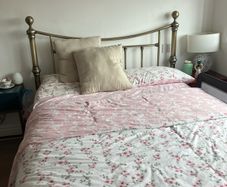 Metal Bed Frame and Mattress