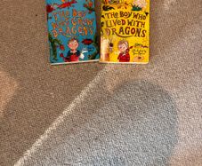 2 books boy who lived with dragons