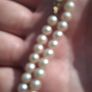 9k Gold Freshwater Pearl Necklace Image 10
