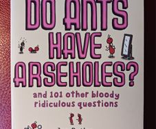 Do Ants Have Arseholes? Jon Butler & Bruno Vincent / 2007