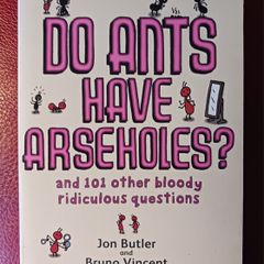 Do Ants Have Arseholes? Jon Butler & Bruno Vincent / 2007