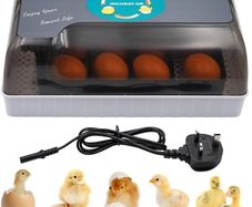 NEW SALE | Incubator Automatic Turning and Hatching, Poultry Hatcher Incubator for 12 Eggs, Lab Incubators with Digital Display and Led Lighting