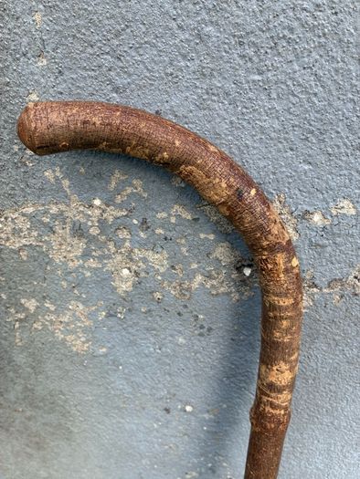 Vintage hazel walking stick