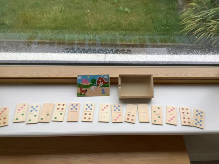Wooden dominos & shape colour matching.