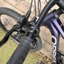 Orbea Onna 50 Image 2