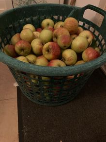big heap of organic apples