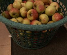 big heap of organic apples