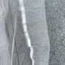 Net curtains Image 2