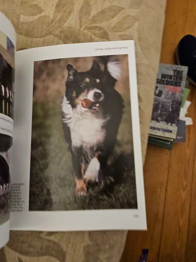 Training Border Collies. By Barbara Sykes's Large Volume Paperback In Good Condition.  See Photos For Same.