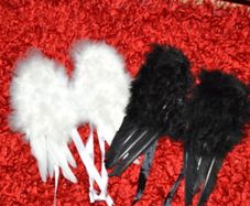 cherub wings