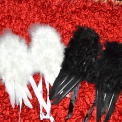 cherub wings