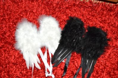 cherub wings