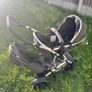 Double Tandem Buggy for Sale Image 5
