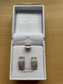 Tipperary Sliver Earrings