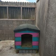 Large outside dog house