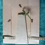 Acid Free Handmade mother-of-pearl shell photo frame Image 3