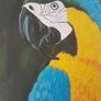 Prints of original artwork Image 2
