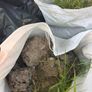 Top soil Image 3