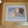 Lovely, Decorative Hare Picture Image 3