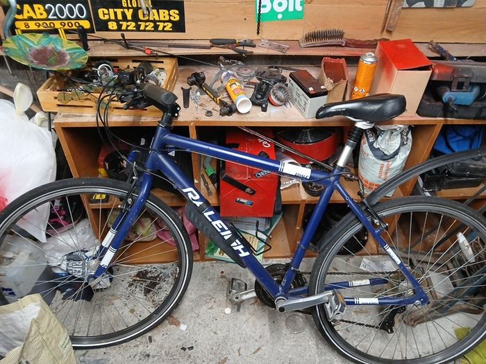 raleigh hybrid mountain bike