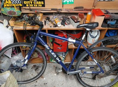 raleigh hybrid mountain bike