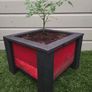 Patio Tomato pot Image 3