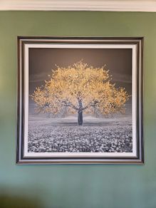 Large Statement Square Picture/Wall Art