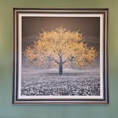 Large Statement Square Picture/Wall Art